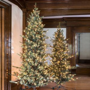 9' Slim Line Blue Spruce with LED Lights