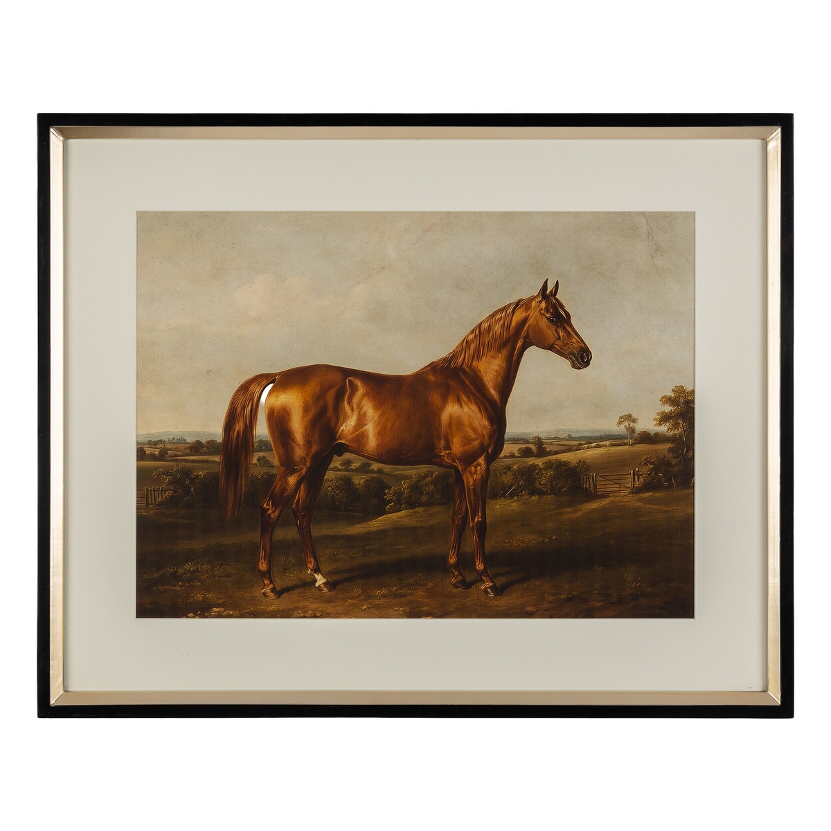 Heritage Thoroughbred Framed Print I