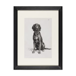 Black framed print of a seated dog with pale mat and a vintage-style black-and-white illustration
