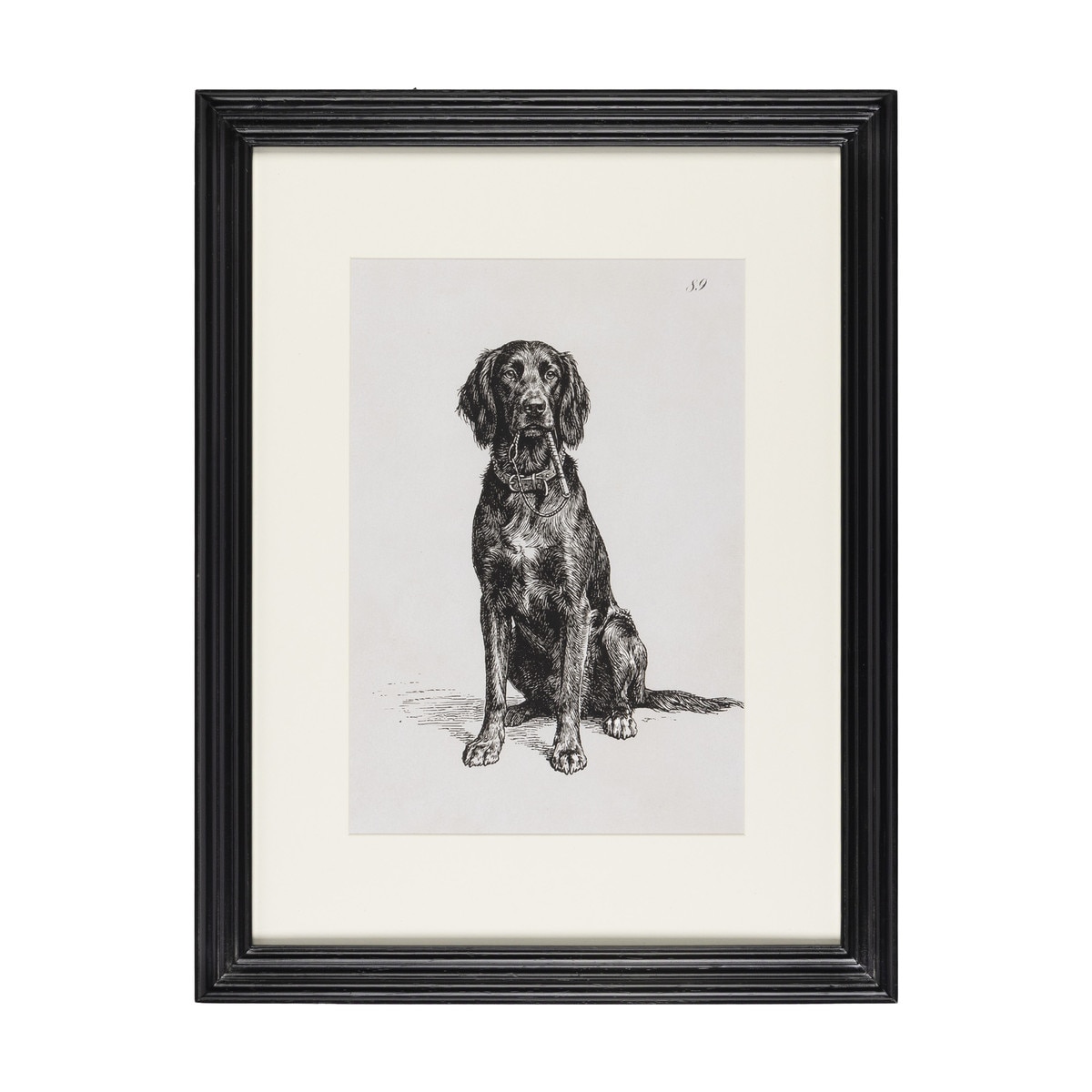 Black framed print of a seated dog with pale mat and a vintage-style black-and-white illustration