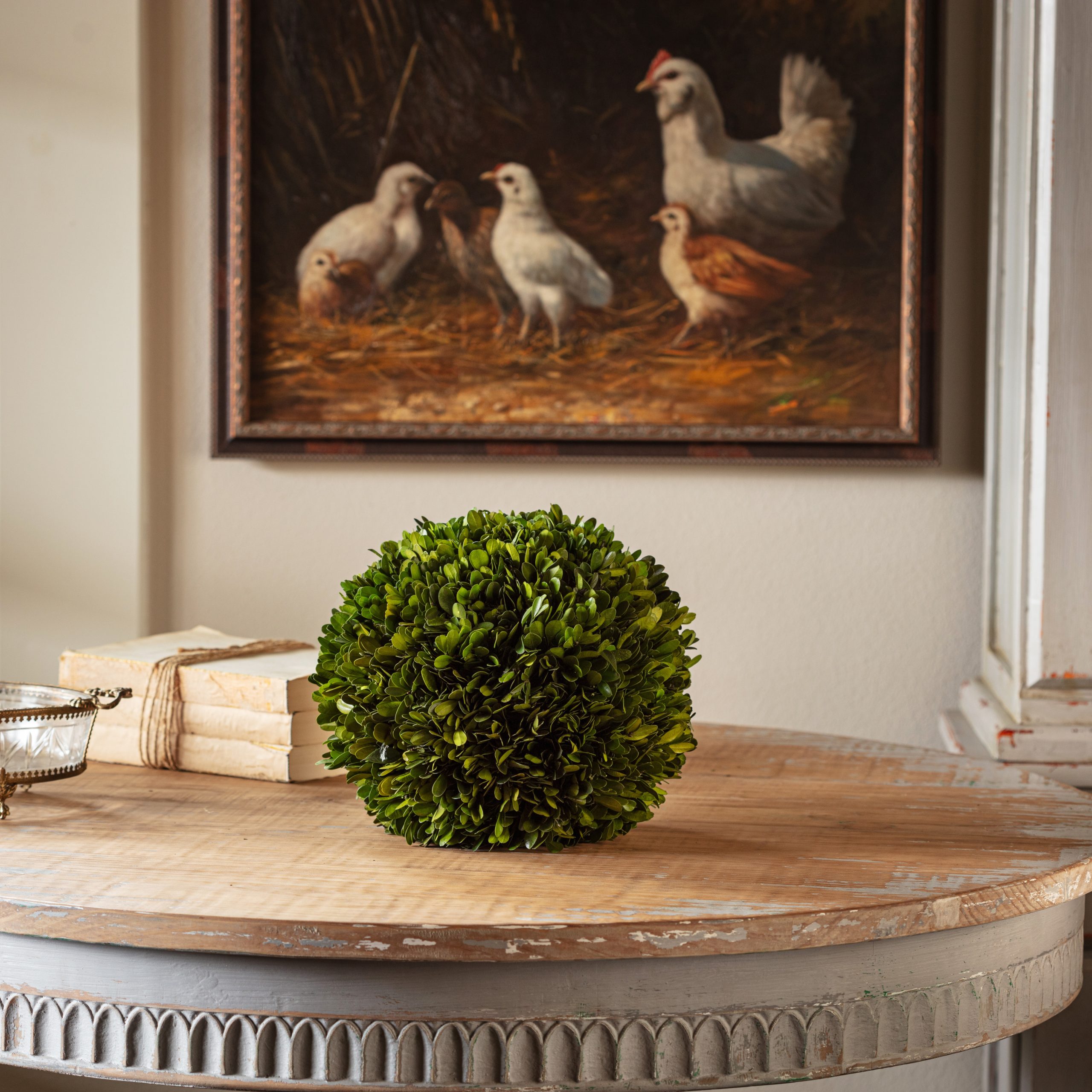 Preserved Boxwood 10" Ball