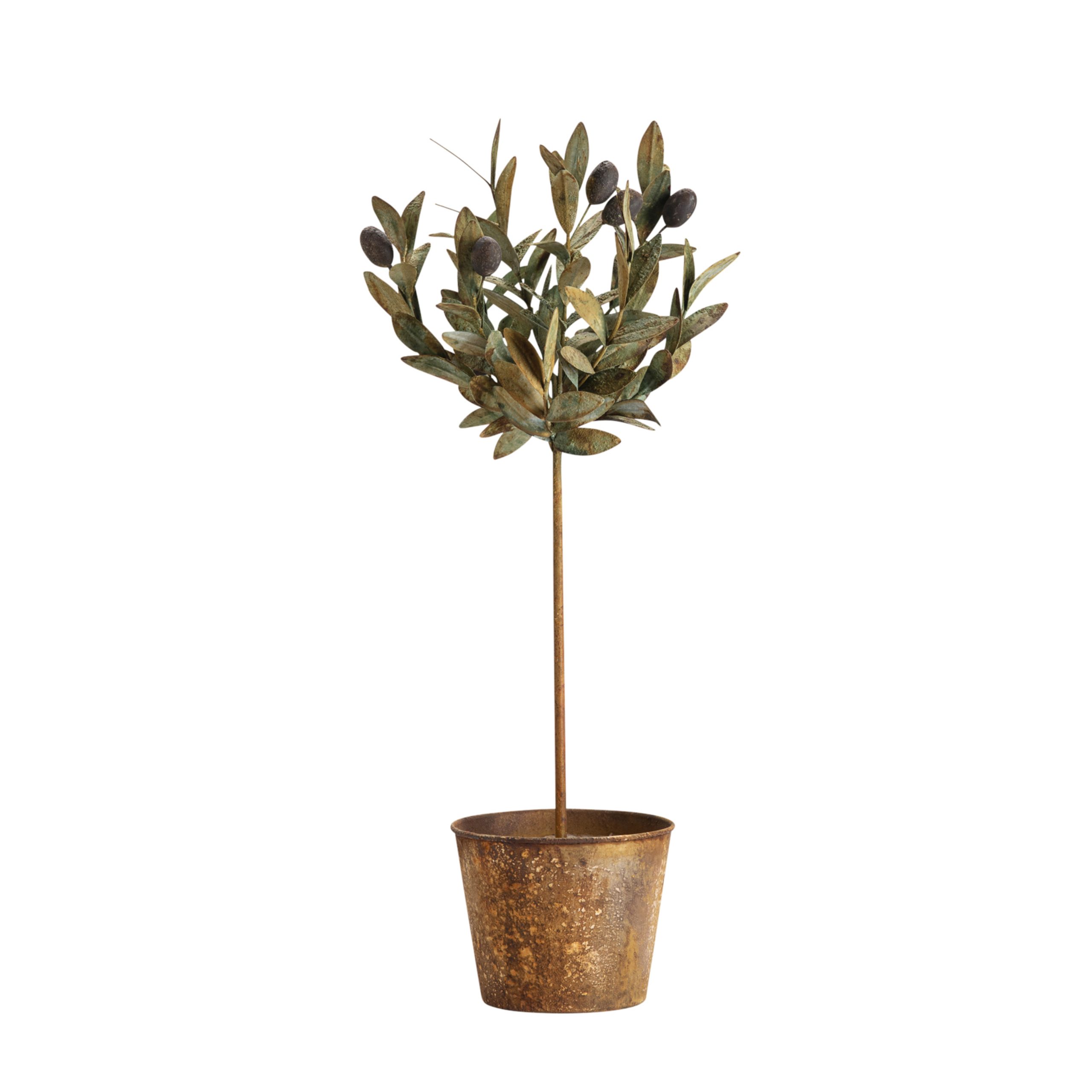 Potted Olive Tole Topiary, 23"H